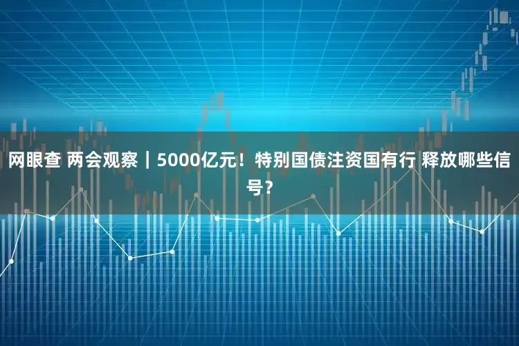 网眼查 两会观察｜5000亿元！特别国债注资国有行 释放哪些信号？