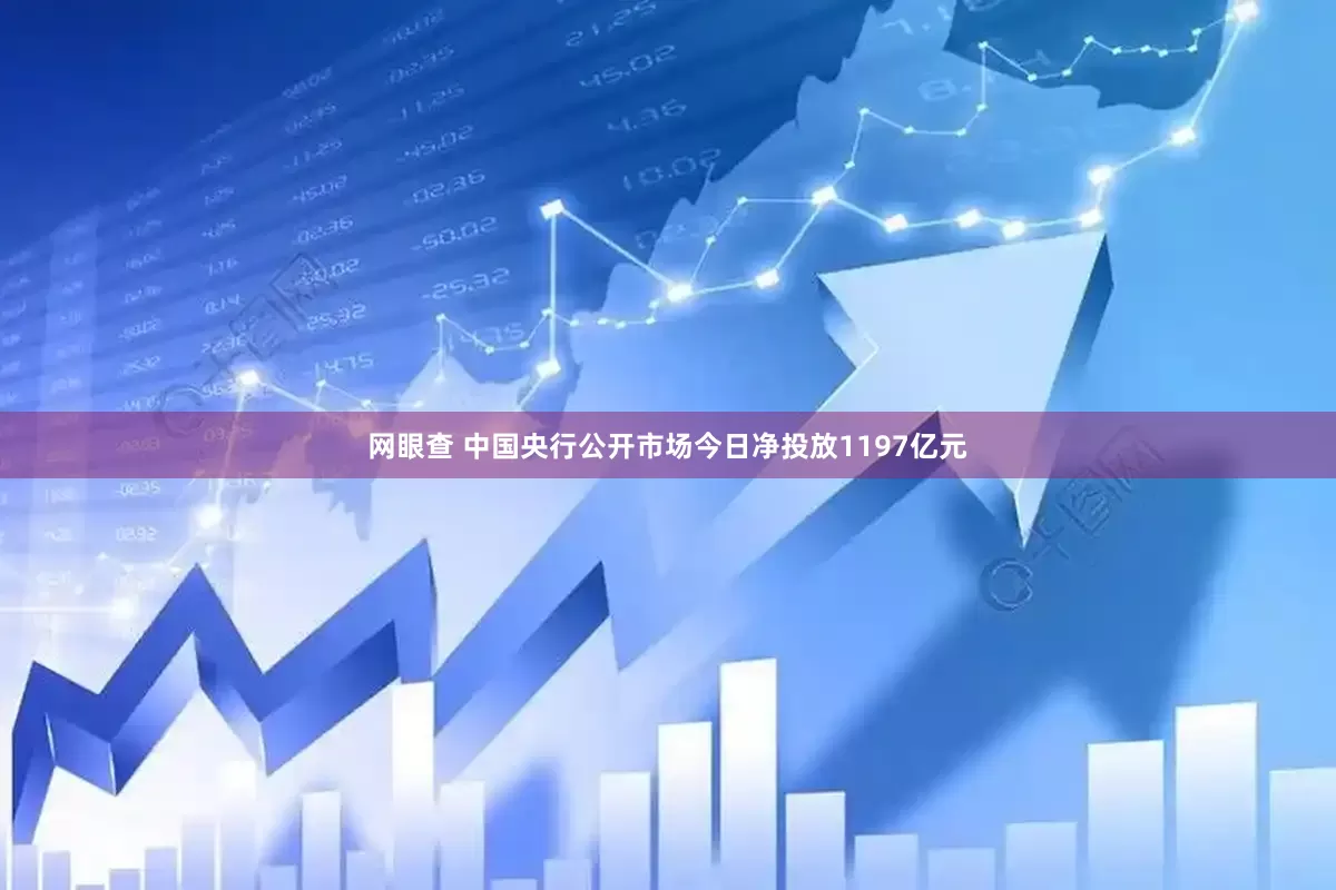 网眼查 中国央行公开市场今日净投放1197亿元