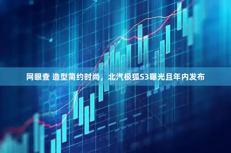 网眼查 造型简约时尚，北汽极狐S3曝光且年内发布